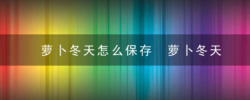 萝卜冬天怎么保存 萝卜冬天如何保存